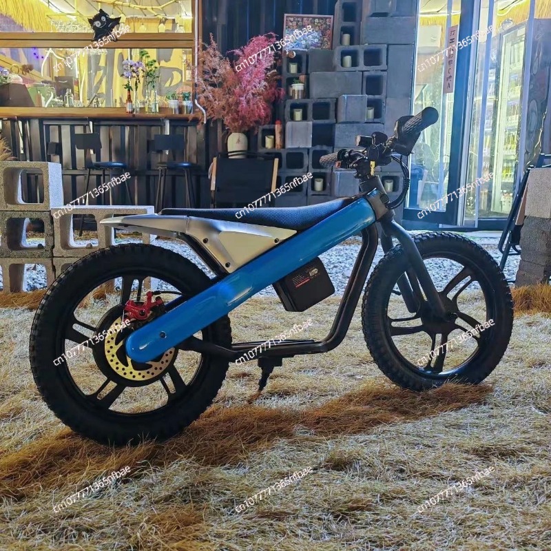 16 Inch Kids Electric Balance  - огляд і ціна Kids Electric Scooter